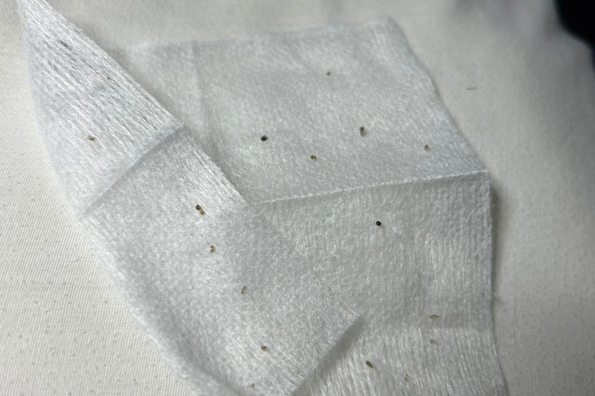 A cloth with Blackheads removed during facial at Collab Medspa